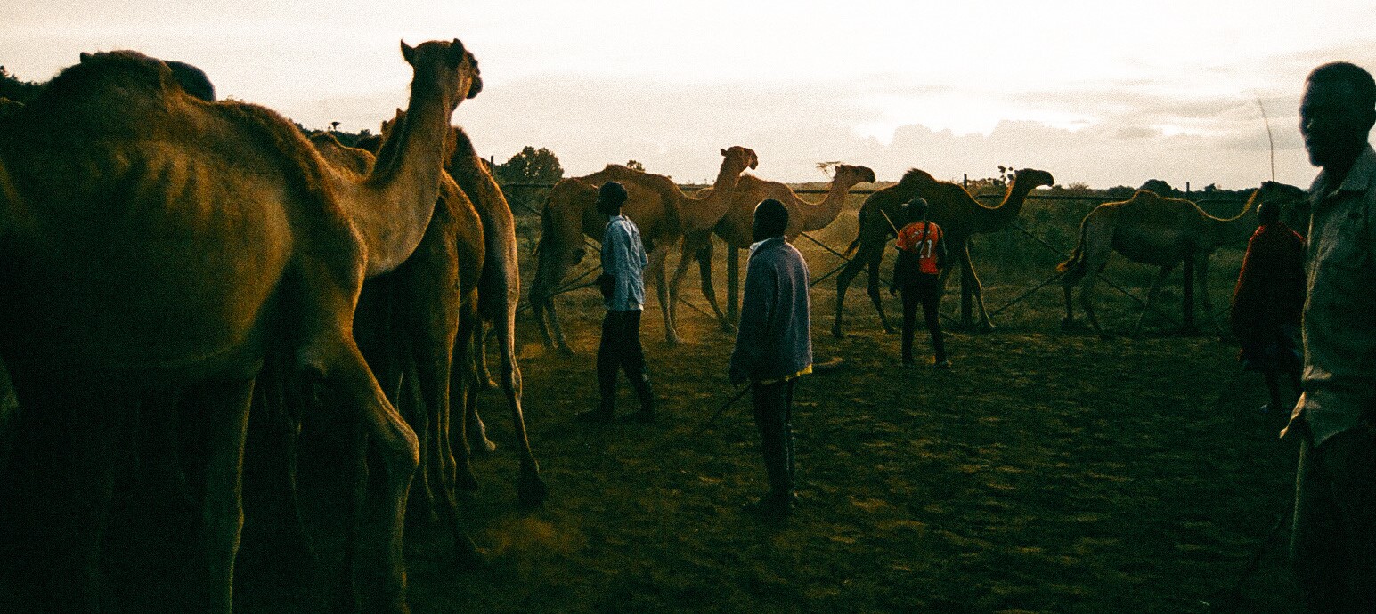 Ecosystem Health Lab — biodiversity, global change, and health